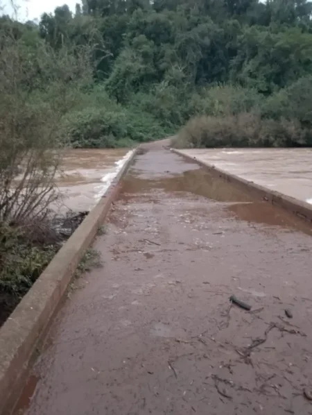 Habilitaron nuevamente el acceso a los Saltos del Moconá imagen-6