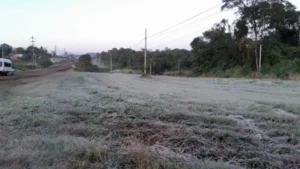 Heladas y frío extremo: este jueves Misiones registró temperaturas bajo cero imagen-3
