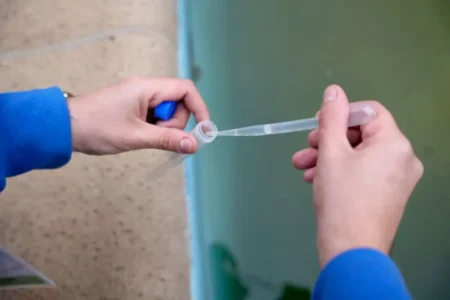 Índice de positividad de criadero de Aedes aegypti superó el 12% imagen-7