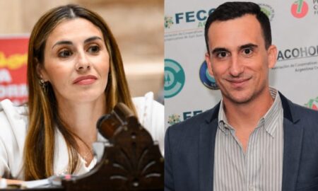 Marcela Pagano sobre Lanari: “Acomodó a su familia y amigos en el Inym y la EBY” imagen-7