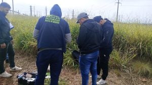 Posadas | Secuestraron marihuana valuada en casi tres millones de pesos imagen-8