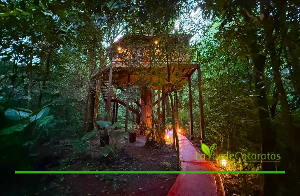 Una noche en una casita del árbol: volver a ser niña en el corazón de la selva en Iguazú imagen-65
