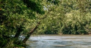 Los biólogos no dan crédito: con un ambicioso plan de reciclaje, Estados Unidos transformó uno de los ríos más contaminados por basura en un lugar de recreación Los biólogos no dan crédito: con un ambicioso plan de reciclaje, Estados Unidos transformó uno de los ríos más contaminados por basura en un lugar de recreación imagen-4