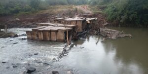 Misiones: intensas lluvias provocaron inundaciones y desbordes de arroyos imagen-73