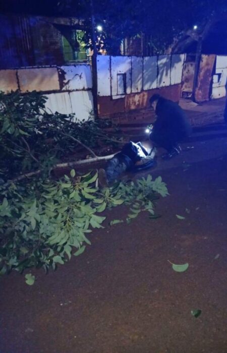 Intentó robar paltas pero cayó del árbol y terminó con graves lesiones: fue operado de urgencia en Posadas imagen-13