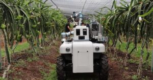 Investigadores no dan crédito: dos jóvenes crearon "Dragonbot", un robot a bajo costo programado para recoger únicamente un tipo de fruta estacional imagen-3