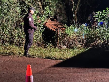 Perdió el control del auto y terminó volcando al costado de la Ruta Provincial 5 en Panambí Perdió el control del auto y terminó volcando al costado de la Ruta Provincial 5 en Panambí imagen-67