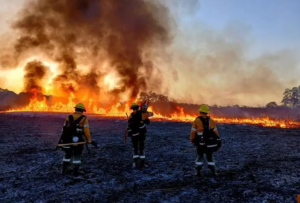 Jujuy: El temporal de viento más fuerte en treinta años causó destrozos y dejó sin luz a miles de usuarios Jujuy: El temporal de viento más fuerte en treinta años causó destrozos y dejó sin luz a miles de usuarios imagen-7
