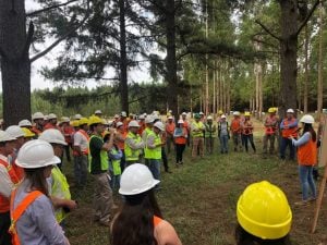 Posadas será sede en agosto de un seminario con foco en inversiones forestales, mercados de carbono y competitividad foresto-industrial imagen-8