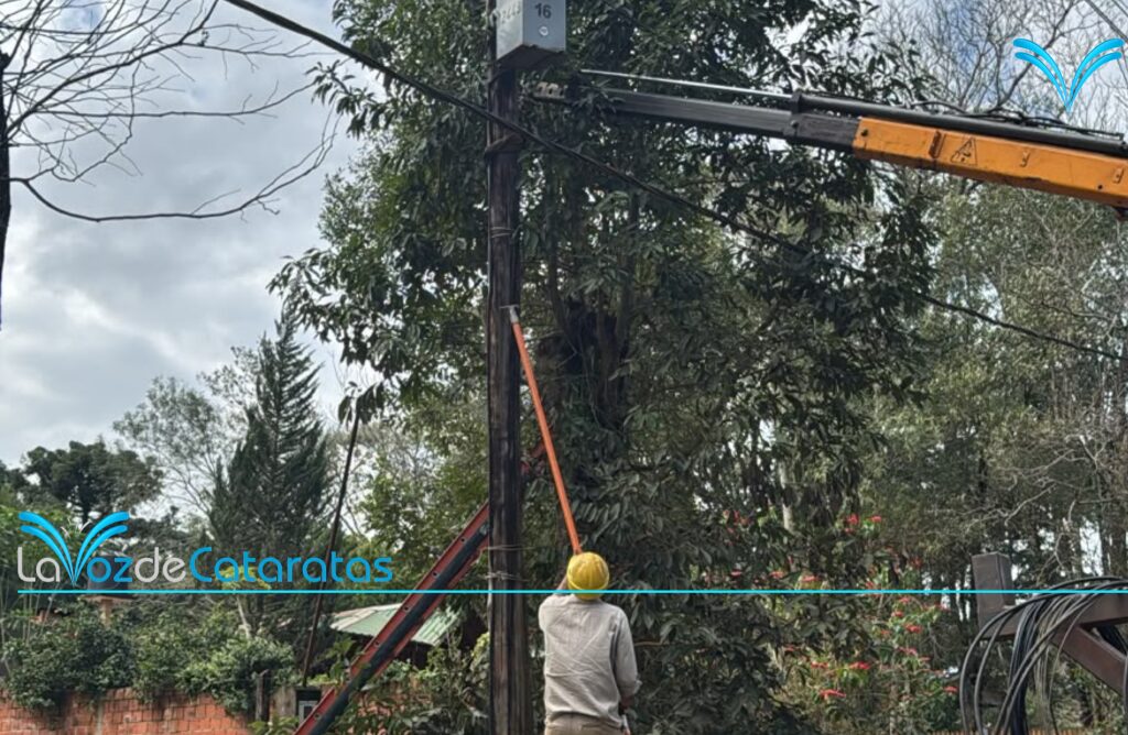 Continúa el operativo para normalizar el suministro eléctrico en Dos Mil Hectáreas Continúa el operativo para normalizar el suministro eléctrico en Dos Mil Hectáreas imagen-5