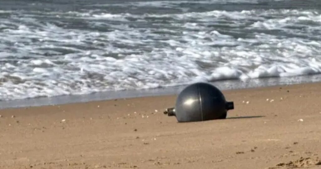 Revelan el origen de las extrañas bolas que aparecieron en una playa de Australia imagen-97