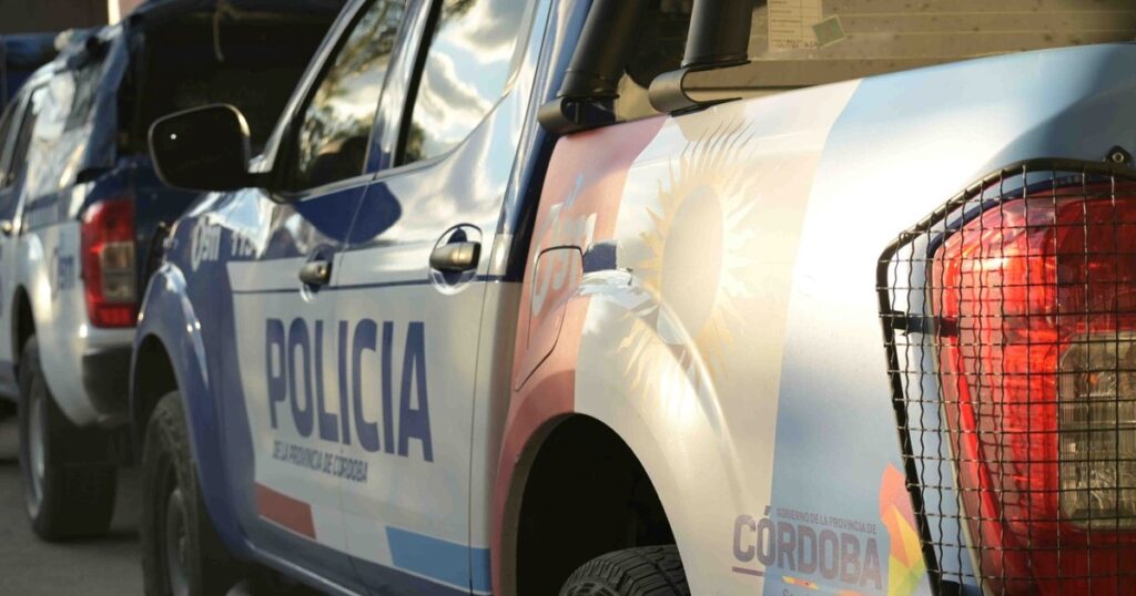 Drama en el aire: un instructor de vuelo cayó de su avioneta durante una clase y su estudiante logró aterrizarla imagen-101