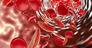 Los científicos no dan crédito: la Universidad de Hopkins presenta un avance inédito en la creación de un sustituto de sangre estable a temperatura ambiente imagen-4