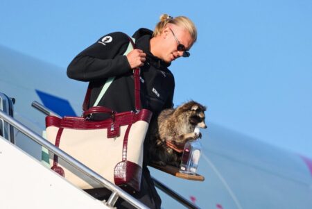Haaland aterrizó en Noruega y bajó del avión con un mapache disecado entre manos Haaland aterrizó en Noruega y bajó del avión con un mapache disecado entre manos imagen-5