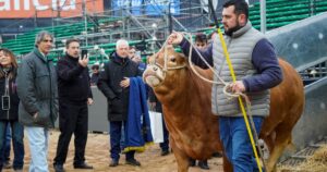 Una vida ligada a una raza francesa y a mostrar su genética en Palermo Una vida ligada a una raza francesa y a mostrar su genética en Palermo imagen-4