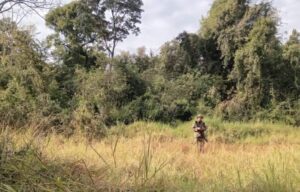 Guardaparques intensifican operativos para prevenir la caza furtiva en los parques provinciales Urugua-í y Horacio Foerster imagen-1