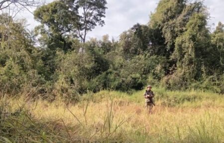 Guardaparques intensifican operativos para prevenir la caza furtiva en los parques provinciales Urugua-í y Horacio Foerster imagen-16