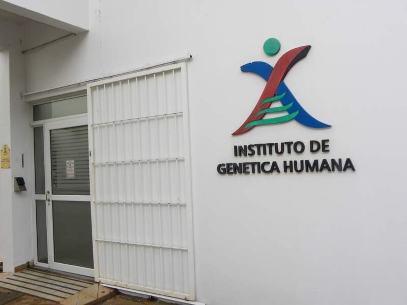 De un laboratorio y 500 consultas a un centro de referencia: el Instituto de Genética Humana cumple 14 años en Misiones De un laboratorio y 500 consultas a un centro de referencia: el Instituto de Genética Humana cumple 14 años en Misiones imagen-3