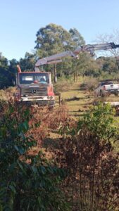Alerta por fuertes vientos: Energía de Misiones desplegó cuadrillas en puntos afectados imagen-1