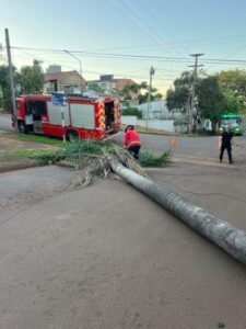 Operario de Energía de Misiones resultó herido al reparar daños provocados por incendios: Bomberos de la Policía ya superan las 60 intervenciones Operario de Energía de Misiones resultó herido al reparar daños provocados por incendios: Bomberos de la Policía ya superan las 60 intervenciones imagen-1