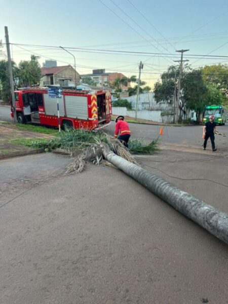 Operario de Energía de Misiones resultó herido al reparar daños provocados por incendios: Bomberos de la Policía ya superan las 60 intervenciones imagen-20