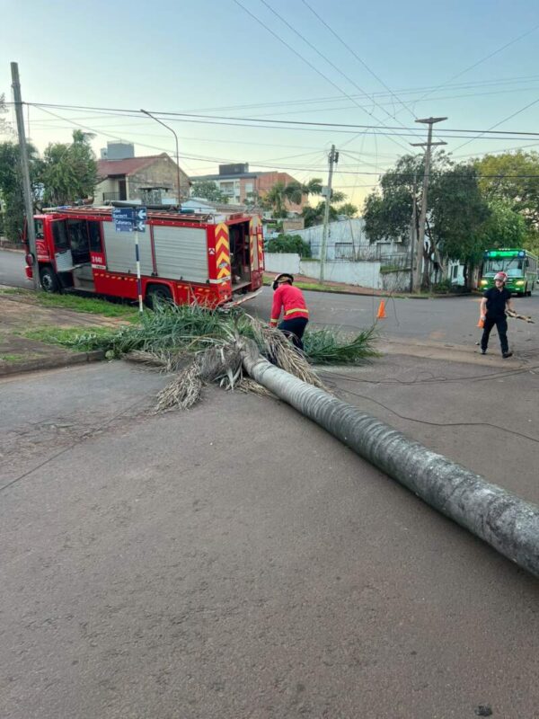 Operario de Energía de Misiones resultó herido al reparar daños provocados por incendios: Bomberos de la Policía ya superan las 60 intervenciones Operario de Energía de Misiones resultó herido al reparar daños provocados por incendios: Bomberos de la Policía ya superan las 60 intervenciones imagen-5