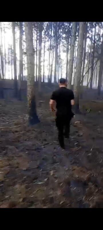 Fuertes vientos provocaron un incendio que afectó a tres aserraderos en San Vicente Fuertes vientos provocaron un incendio que afectó a tres aserraderos en San Vicente imagen-6