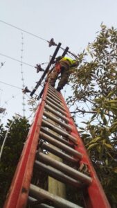 Temporal de vientos: cuadrillas reforzadas continúan trabajando en las zonas más afectadas para recuperar el suministro eléctrico Temporal de vientos: cuadrillas reforzadas continúan trabajando en las zonas más afectadas para recuperar el suministro eléctrico imagen-1