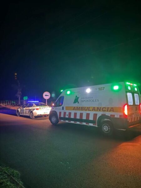Dos personas fallecieron tras el despiste de un automóvil sobre la Ruta Nacional 12 en Candelaria Dos personas fallecieron tras el despiste de un automóvil sobre la Ruta Nacional 12 en Candelaria imagen-5