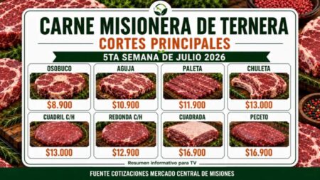 Compras cómodas, predio amplio y precios acordes al bolsillo: las ventajas de elegir el Mercado Central de Posadas imagen-7