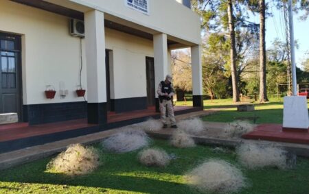 Prefectura secuestró redes y elementos de pesca ilegal en operativos realizados en San Javier e Itacaruaré Prefectura secuestró redes y elementos de pesca ilegal en operativos realizados en San Javier e Itacaruaré imagen-66