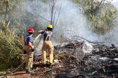 Bomberos controlaron un incendio de pastizal y recuerdan que está prohibido realizar quemas en Puerto Iguazú Bomberos controlaron un incendio de pastizal y recuerdan que está prohibido realizar quemas en Puerto Iguazú imagen-66