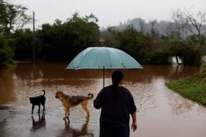Fenómeno El Niño | Alerta en el sur de Brasil por un temporal que amenaza con dejar hasta 200 milímetros de lluvia en 48 horas imagen-8