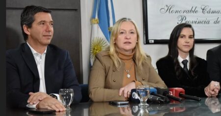 Francia declaró "persona no grata" a la vicegobernadora de Mendoza por dichos racistas imagen-9