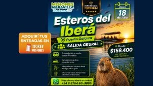 Ticket Misiones | Full Day a los Esteros del Iberá: una propuesta desde Posadas para descubrir Puerto Galarza imagen-5