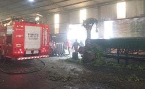 Se incendió un secadero de yerba mate en Aristóbulo del Valle y provocó importantes daños materiales Se incendió un secadero de yerba mate en Aristóbulo del Valle y provocó importantes daños materiales imagen-7