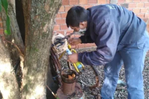 Puerto Iguazú puso en marcha un nuevo operativo LIRAa contra el dengue imagen-2