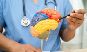 Cómo cuidar el cerebro para prevenir ACV y el deterioro cognitivo imagen-1