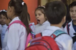 Se reanudan las clases en Misiones: unos 470 mil estudiantes vuelven al aula este lunes Se reanudan las clases en Misiones: unos 470 mil estudiantes vuelven al aula este lunes imagen-2
