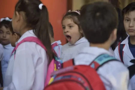 Se reanudan las clases en Misiones: unos 470 mil estudiantes vuelven al aula este lunes imagen-4