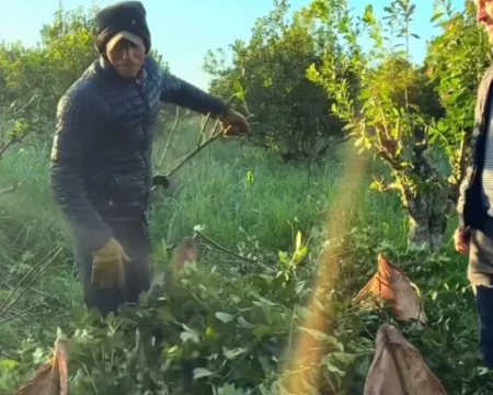 “Juita Guira Dibu Martínez!, manda un saludo para los tareferos de Misiones” imagen-6