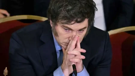 Se desploma la confianza en el gobierno entre los jóvenes que votaron a Milei imagen-6