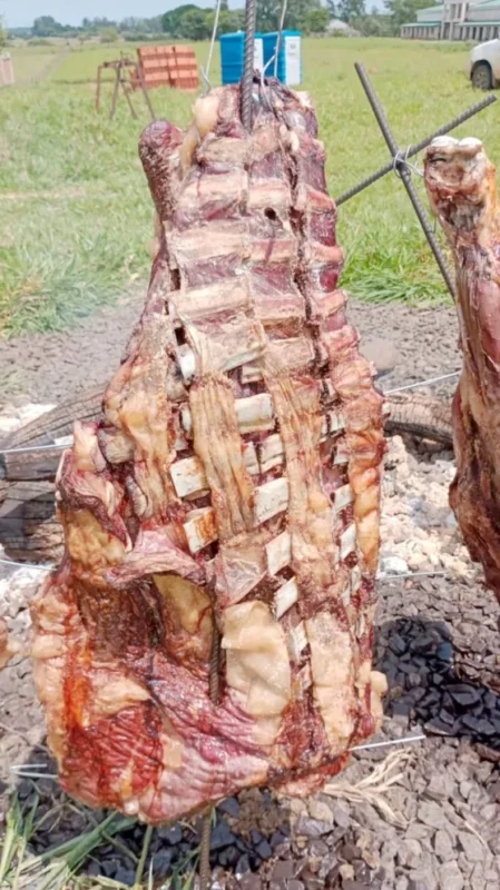 Investigadores destacan calidad, terneza y valor nutricional de la carne de búfalo imagen-17