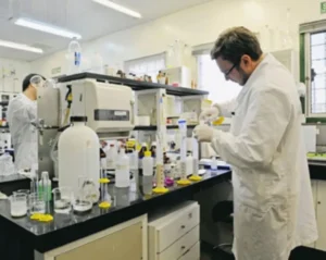 Conicet: advierten que la falta de renovación de becas pone en riesgo investigaciones en Misiones imagen-1