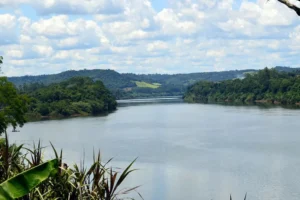 El Niño se instala en Misiones, crece el río Uruguay y refuerzan operativos imagen-2