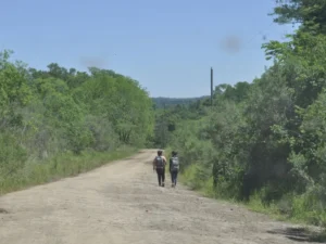 El tiempo en Misiones: sube la temperatura y se preparan algunas lluvias matinales imagen-2