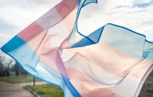El 43% de las personas trans que se hormoniza en Misiones no cuenta con seguimiento médico continuo imagen-1