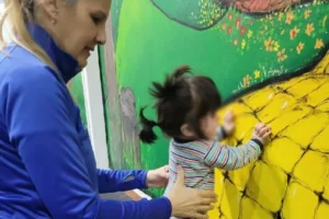 No alcanza con la rampa, un estudio pone el foco en la accesibilidad cotidiana en niños misioneros imagen-2