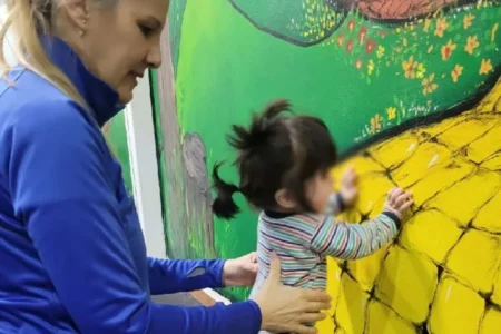 No alcanza con la rampa, un estudio pone el foco en la accesibilidad cotidiana en niños misioneros imagen-6