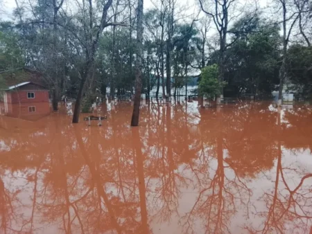 El río Uruguay comenzó a bajar en Panambí tras alcanzar los 10,75 metros imagen-5